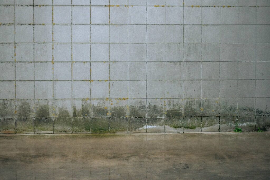 Concrete block wall with moss and stains above a wet concrete floor.