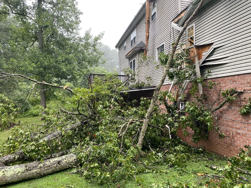 Large fallen tree branches leaning against the side of a house, damaging the siding and window. storm damage repair services
